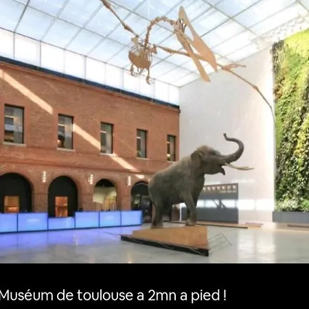 Le Black And White Cosy Centre *