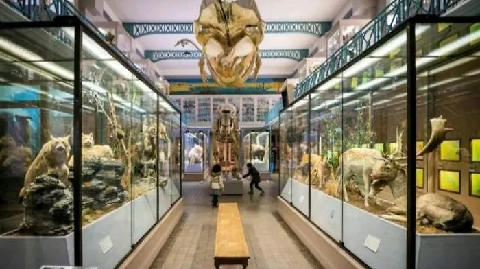 Apartmán Le Black And White Cosy Centre *