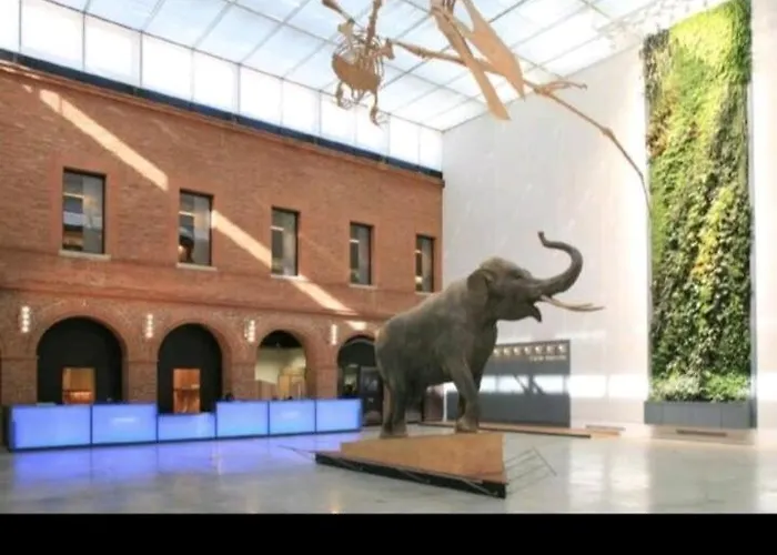 Le Black And White Cosy Centre *