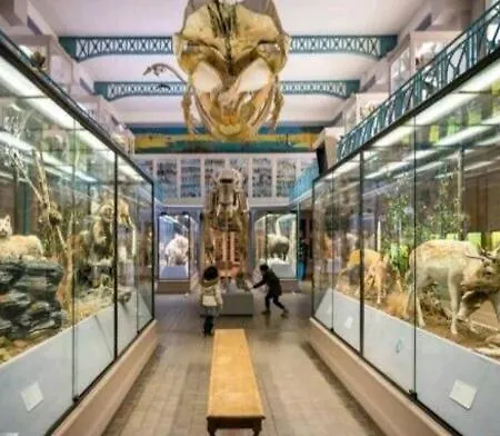 Daire Le Black And White Cosy Centre *